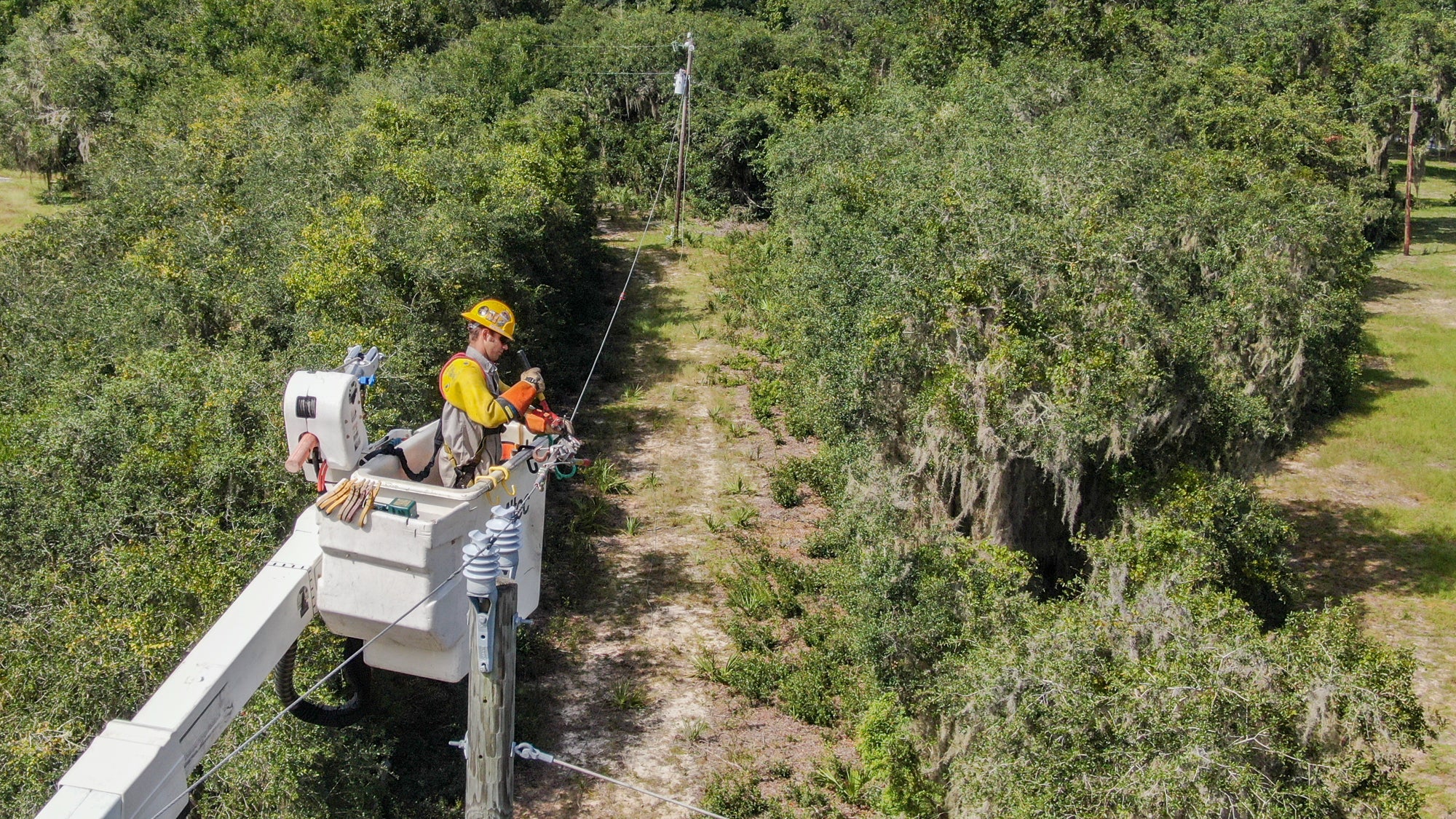 Hurricanes Helene and Milton photos Clay Electric Cooperative, Inc